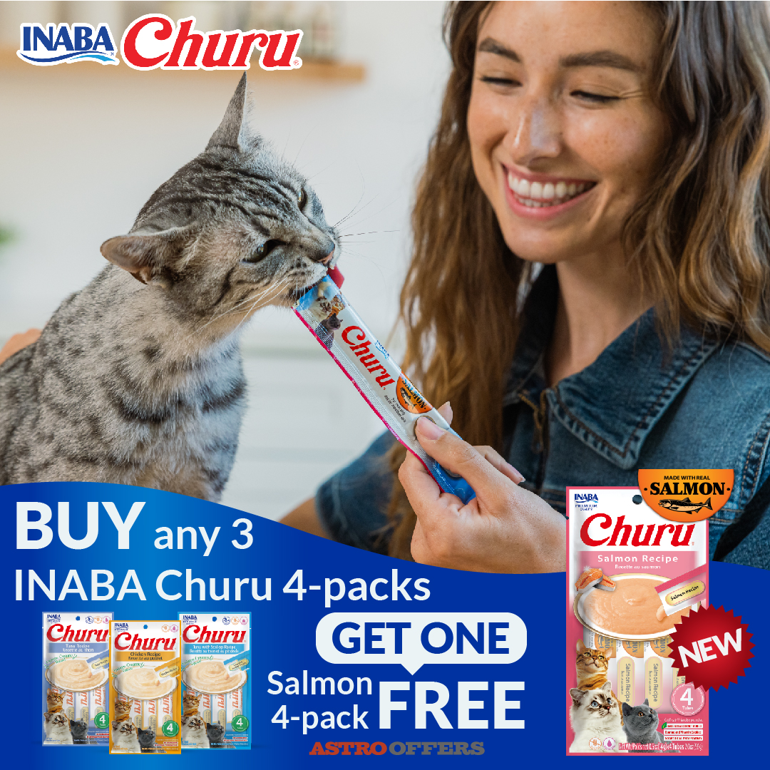 Promotion Image