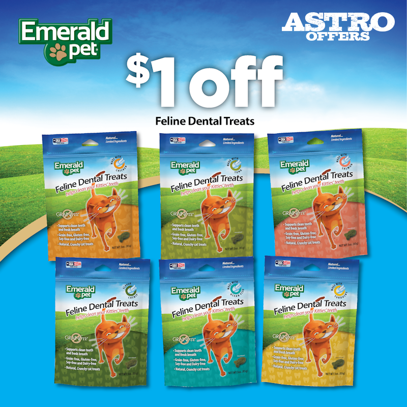 Promotion Image