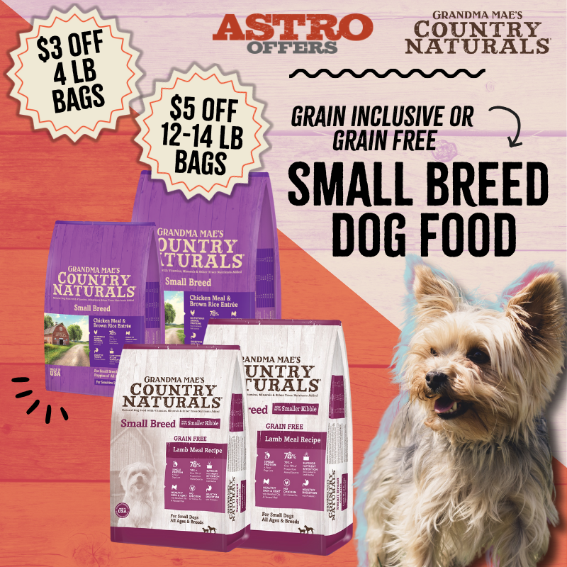 Promotion Image