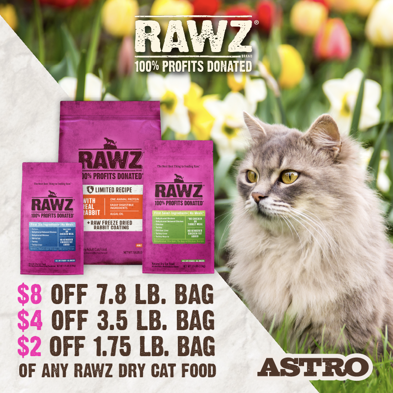 Promotion Image