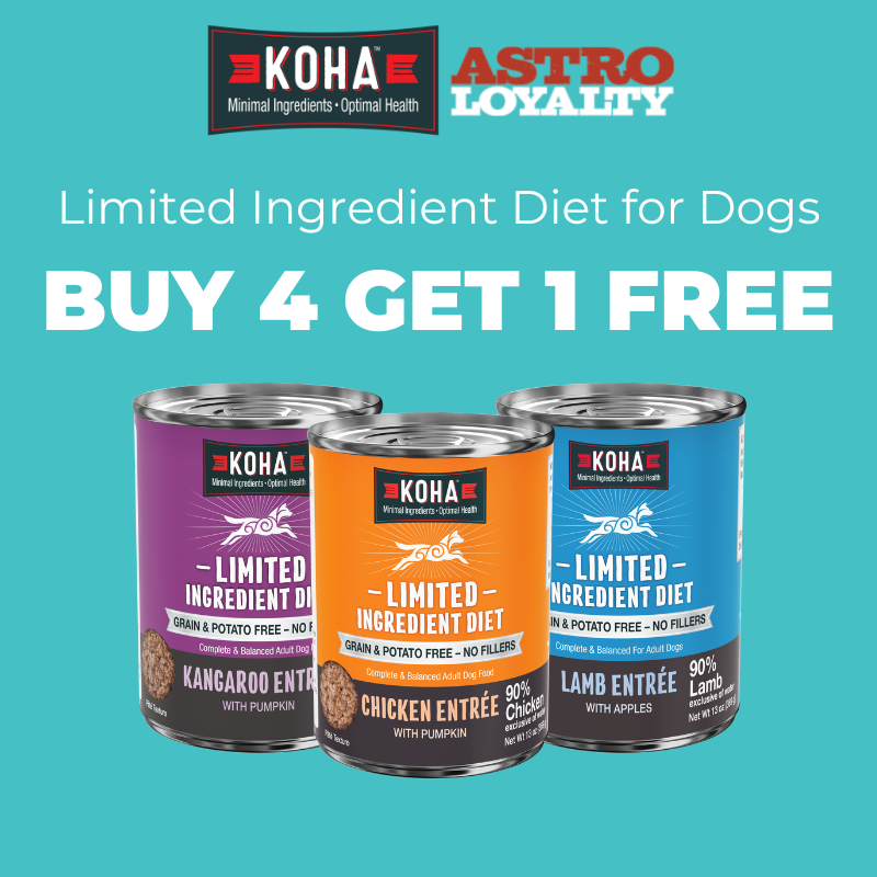 Promotion Image
