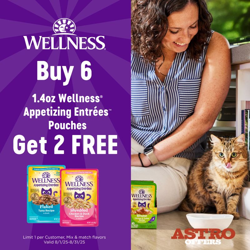 Promotion Image