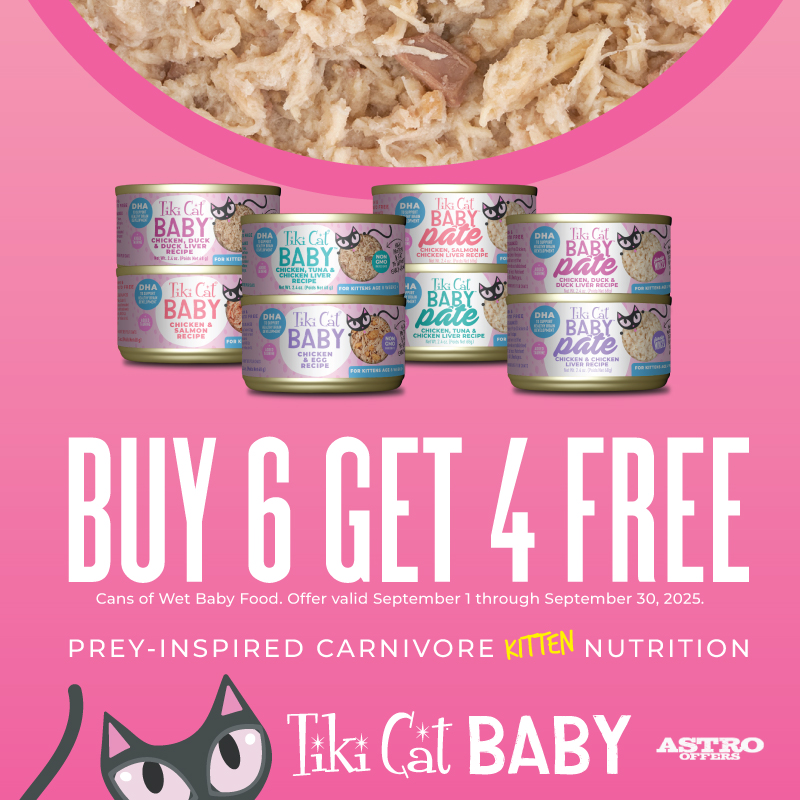Promotion Image