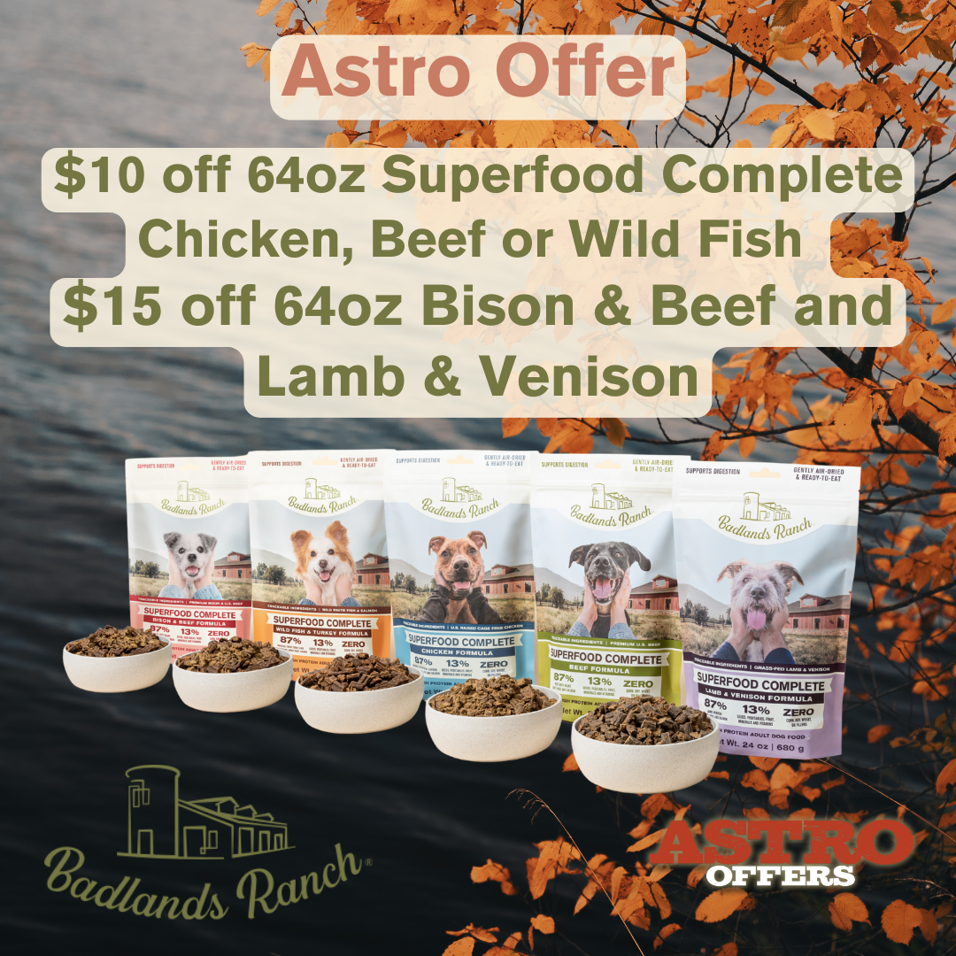 Promotion Image