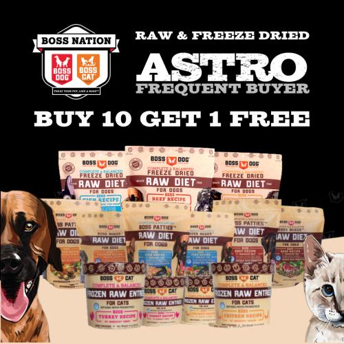Promotion Image