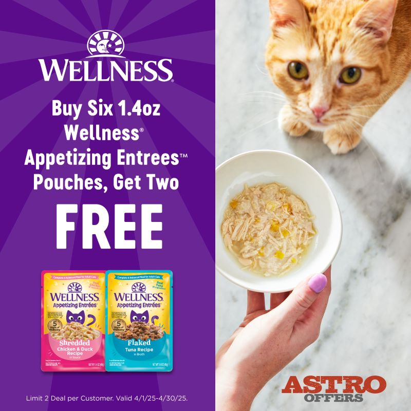 Promotion Image