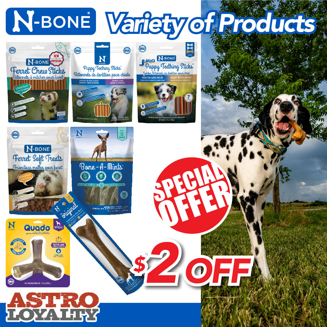 Promotion Image