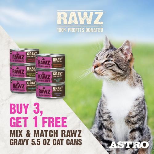 Promotion Image