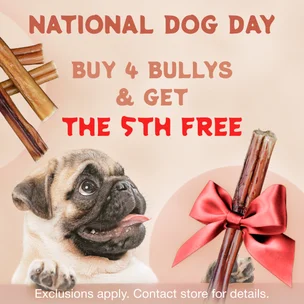 National Dog Day! B…