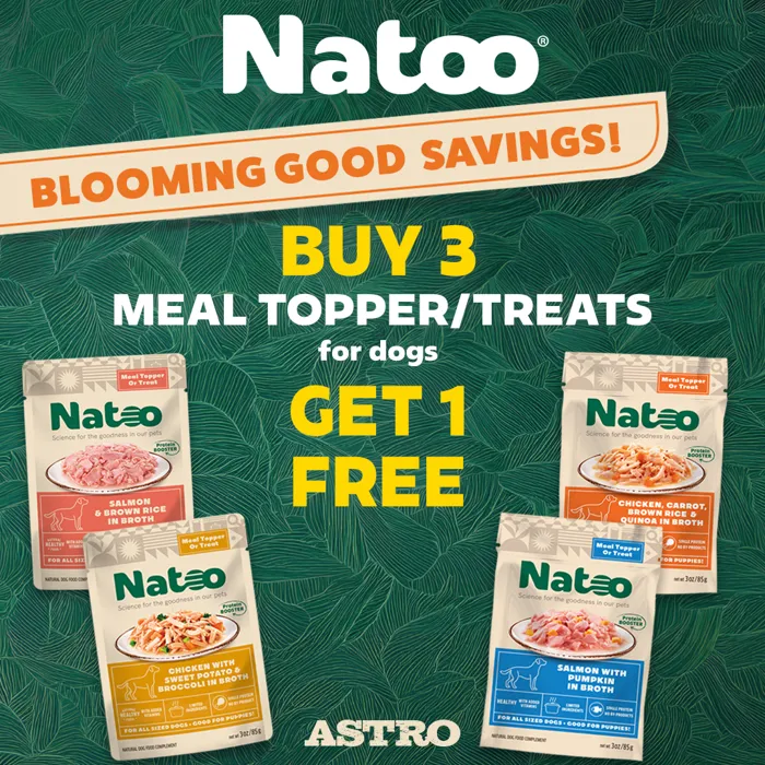 Promotion Image