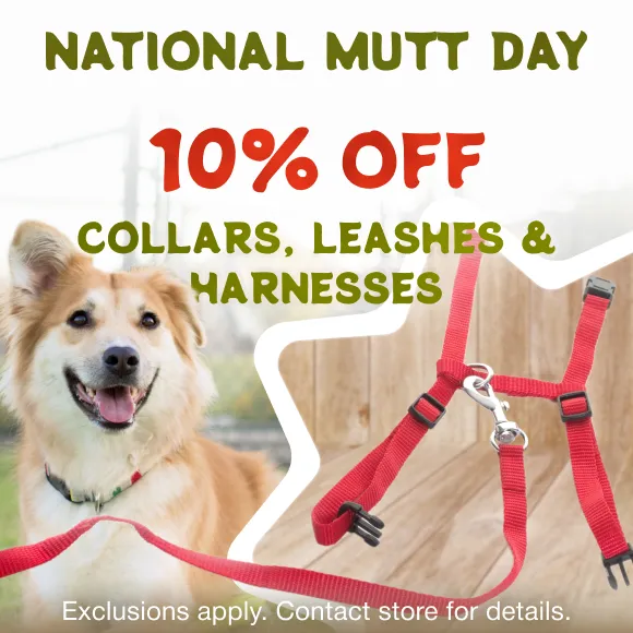 Promotion Image