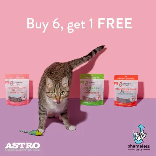 Promotion Image