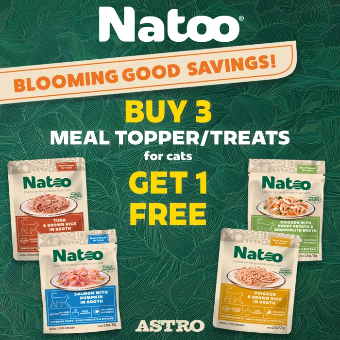 Promotion Image