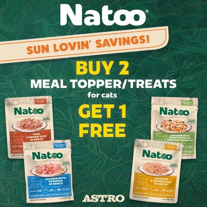 Promotion Image