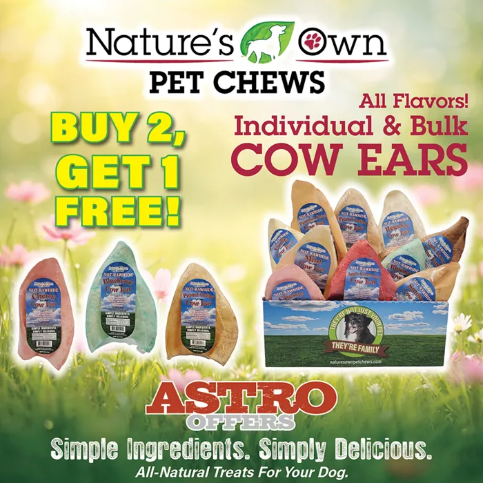 Promotion Image