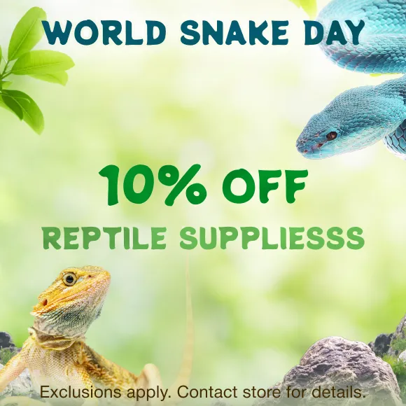 Promotion Image