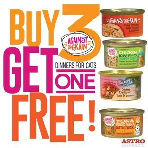 Against the Grain |…