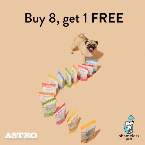 Promotion Image