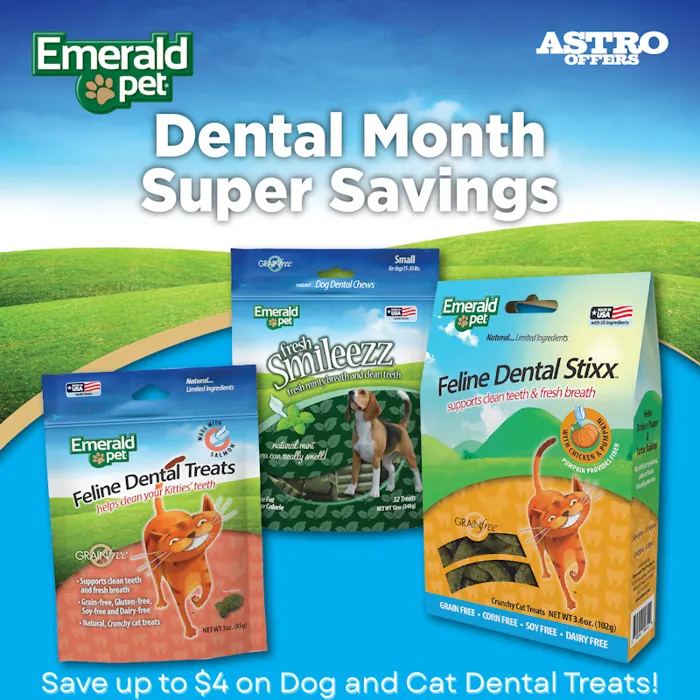 Promotion Image