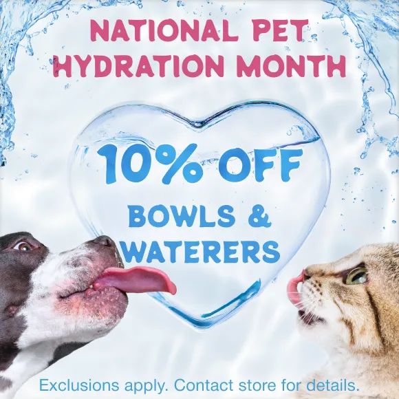 Promotion Image