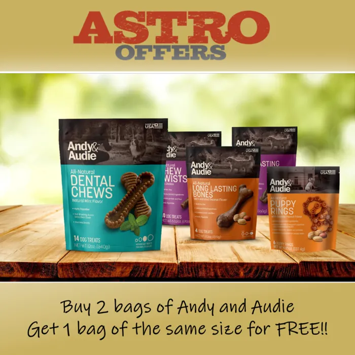 Promotion Image