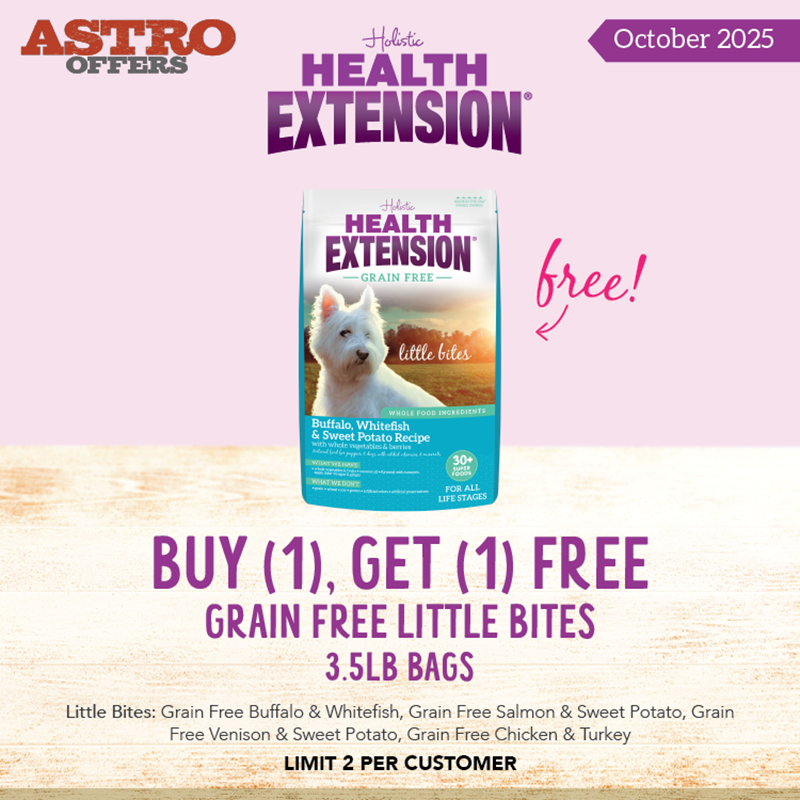 Promotion Image